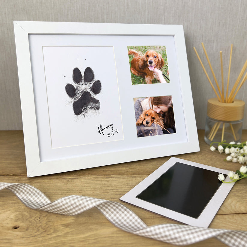 Large Paw Print Display Frame